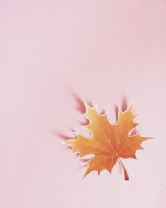 CH22.オルタードスケールへの招待、オルタードの正体？