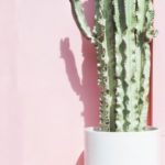 35. 【○7】まとめ