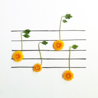 CH08.Ⅱ-からⅤへ、、、